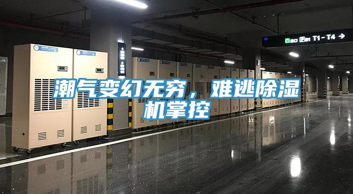 潮氣變幻無(wú)窮，難逃除濕機掌控
