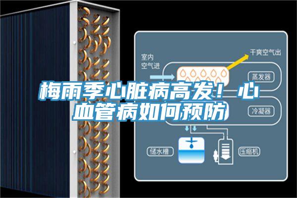 梅雨季心臟病高發(fā)！心血管病如何預防