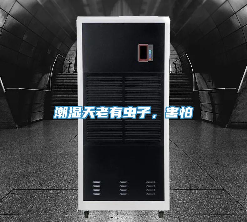 潮濕天老有蟲(chóng)子，害怕
