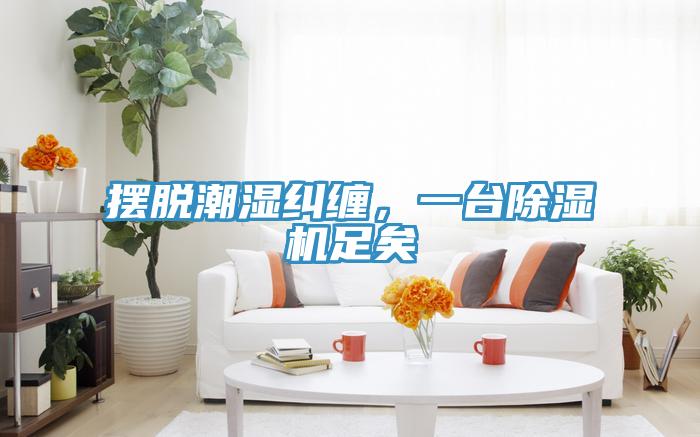 擺脫潮濕糾纏，一臺除濕機足矣