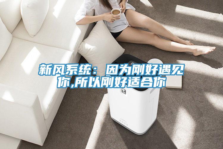 新風(fēng)系統：因為剛好遇見(jiàn)你,所以剛好適合你