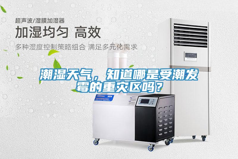 潮濕天氣，知道哪是受潮發(fā)霉的重災區嗎？