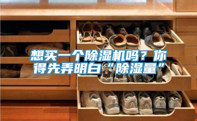 想買(mǎi)一個(gè)除濕機嗎？你得先弄明白“除濕量”