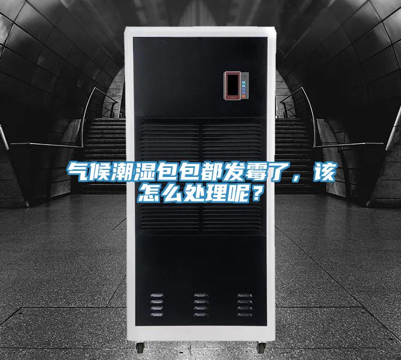 氣候潮濕包包都發(fā)霉了，該怎么處理呢？