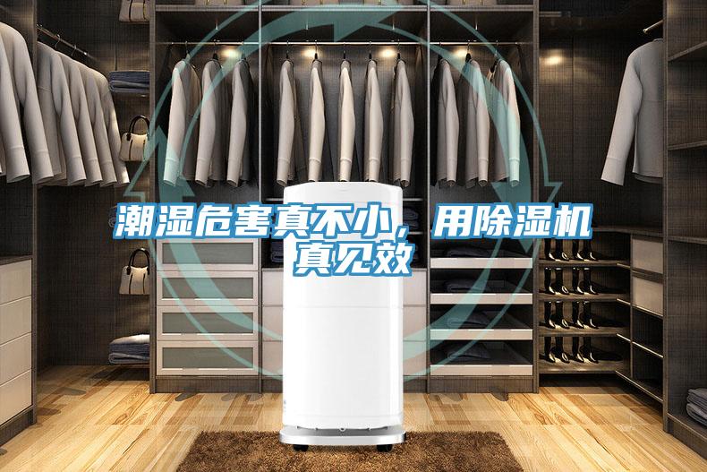 潮濕危害真不小，用除濕機真見(jiàn)效