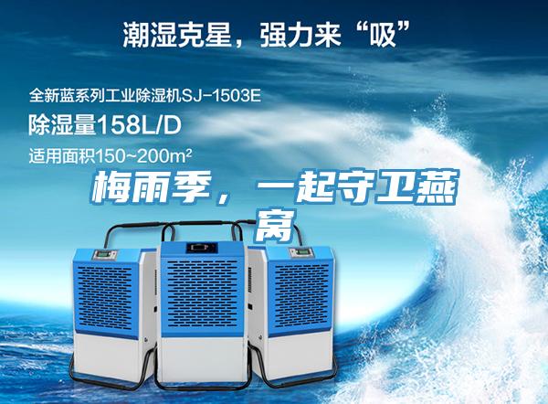 梅雨季，一起守衛燕窩