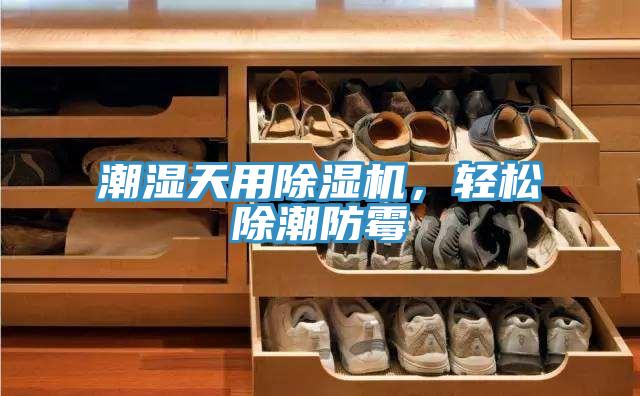 潮濕天用除濕機，輕松除潮防霉