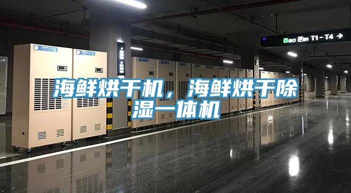 海鮮烘干機，海鮮烘干除濕一體機