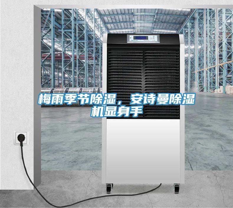 梅雨季節除濕，安詩(shī)曼除濕機顯身手