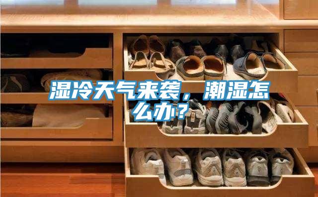 濕冷天氣來(lái)襲，潮濕怎么辦？