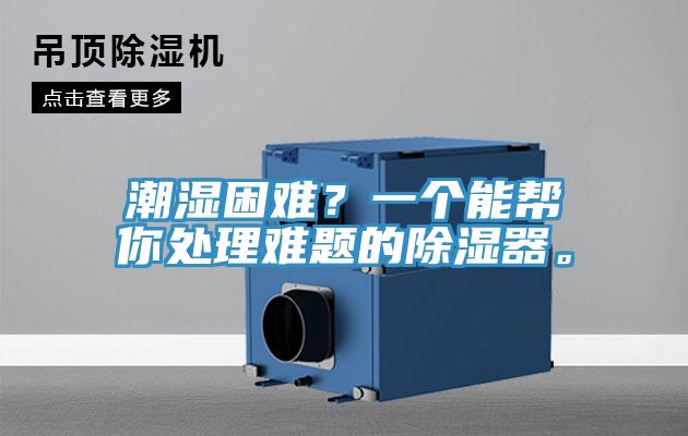 潮濕困難？一個(gè)能幫你處理難題的除濕器。