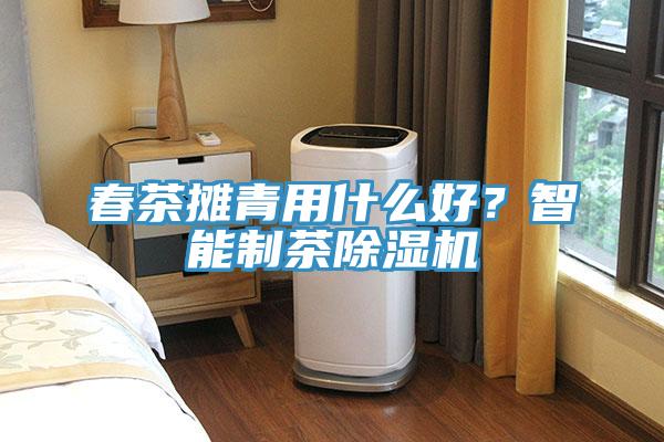 春茶攤青用什么好？智能制茶除濕機