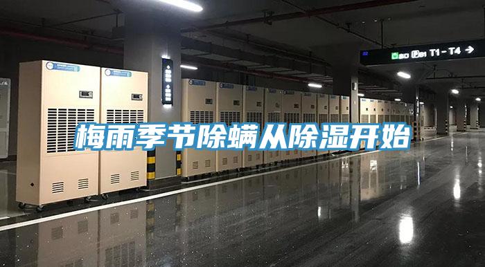 梅雨季節除螨從除濕開(kāi)始