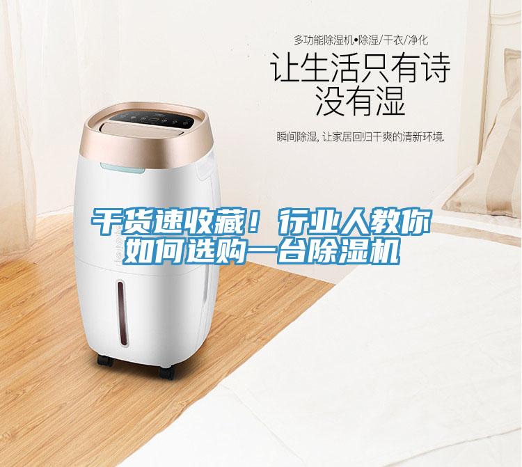 干貨速收藏！行業(yè)人教你如何選購一臺除濕機