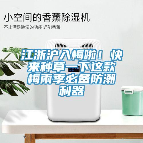 江浙滬入梅啦！快來(lái)種草一下這款梅雨季必備防潮利器