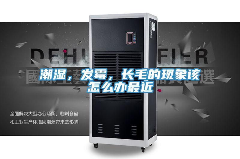 潮濕，發(fā)霉，長(cháng)毛的現象該怎么辦最近