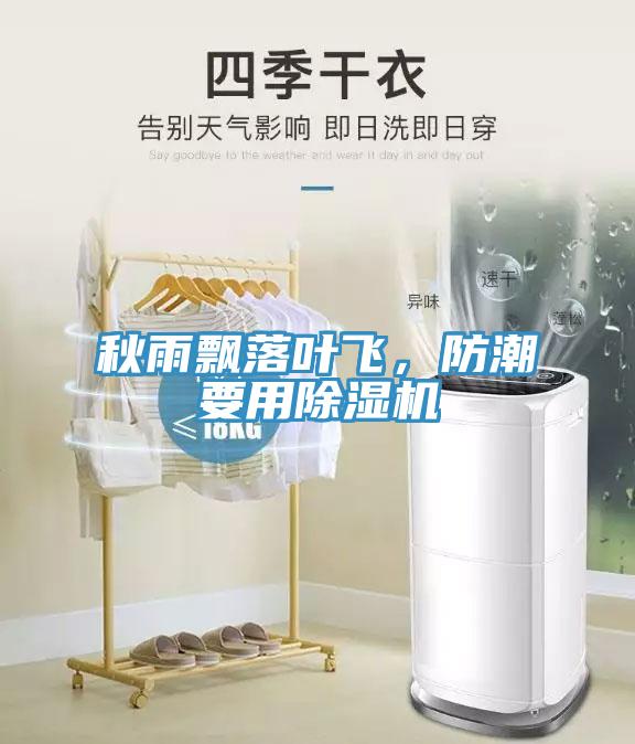 秋雨飄落葉飛，防潮要用除濕機