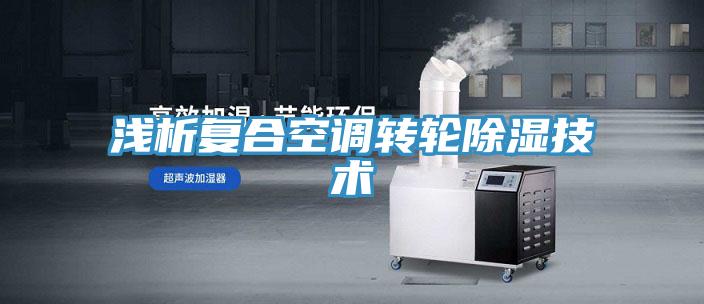 淺析復合空調轉輪除濕技術(shù)