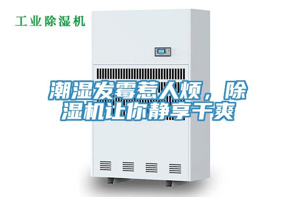 潮濕發(fā)霉惹人煩，除濕機讓你靜享干爽