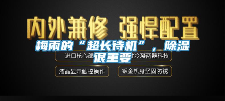 梅雨的“超長(cháng)待機”，除濕很重要
