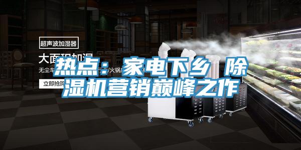 熱點(diǎn)：家電下鄉 除濕機營(yíng)銷(xiāo)巔峰之作