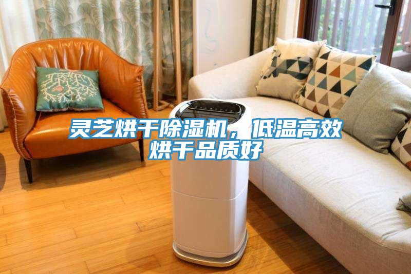 靈芝烘干除濕機，低溫高效烘干品質(zhì)好