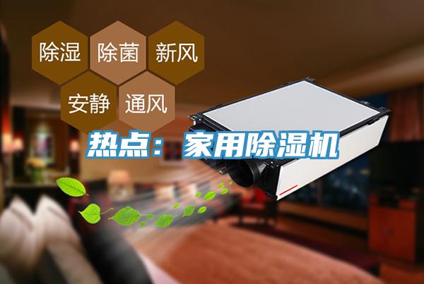 熱點(diǎn)：家用除濕機