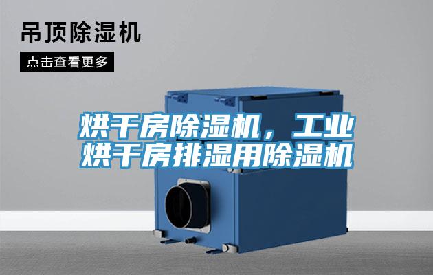 烘干房除濕機，工業(yè)烘干房排濕用除濕機