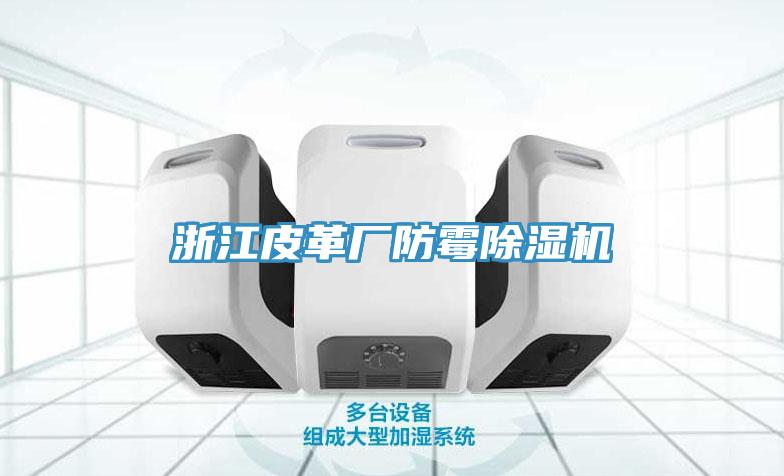 浙江皮革廠(chǎng)防霉除濕機