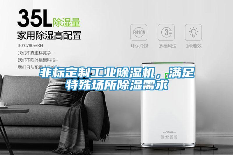 非標定制工業(yè)除濕機，滿(mǎn)足特殊場(chǎng)所除濕需求