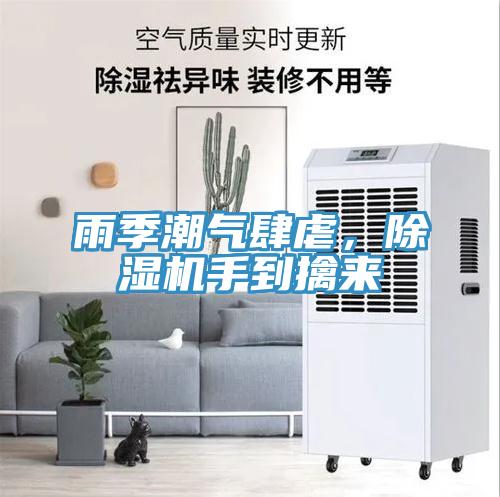 雨季潮氣肆虐，除濕機手到擒來(lái)