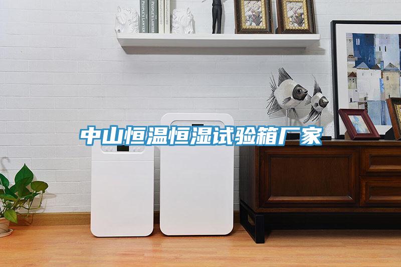 中山恒溫恒濕試驗箱廠(chǎng)家