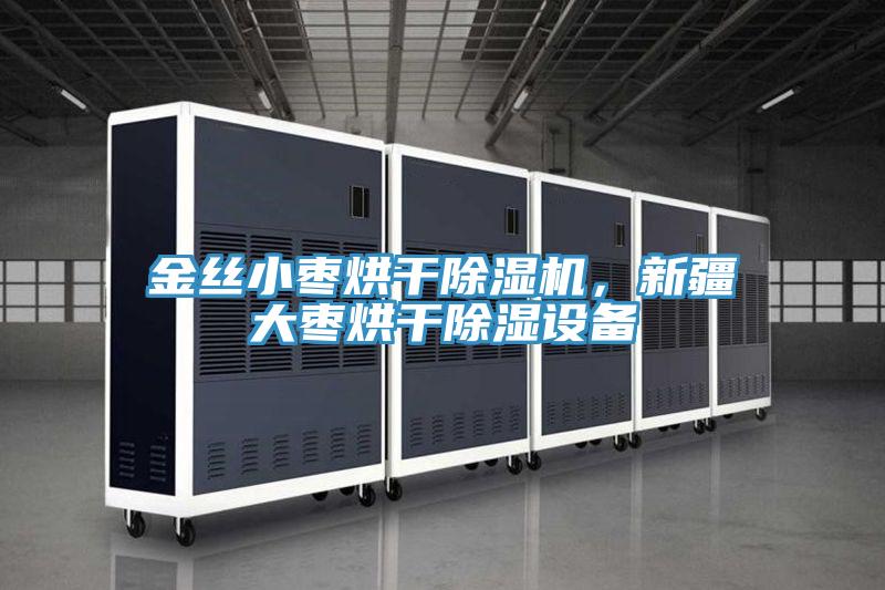 金絲小棗烘干除濕機，新疆大棗烘干除濕設備