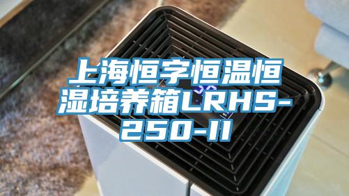 上海恒字恒溫恒濕培養箱LRHS-250-II
