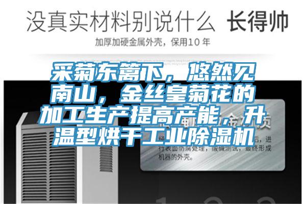 采菊東籬下，悠然見(jiàn)南山，金絲皇菊花的加工生產(chǎn)提高產(chǎn)能，升溫型烘干工業(yè)除濕機