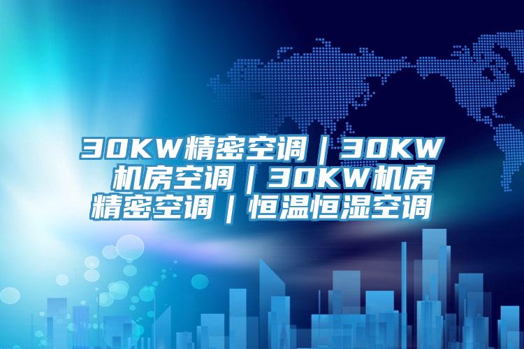 30KW精密空調|30KW 機房空調|30KW機房精密空調|恒溫恒濕空調