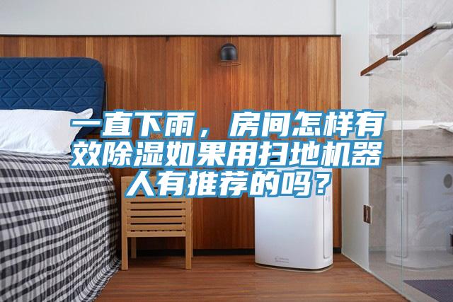 一直下雨，房間怎樣有效除濕如果用掃地機器人有推薦的嗎？