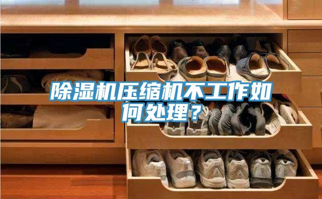 除濕機壓縮機不工作如何處理？