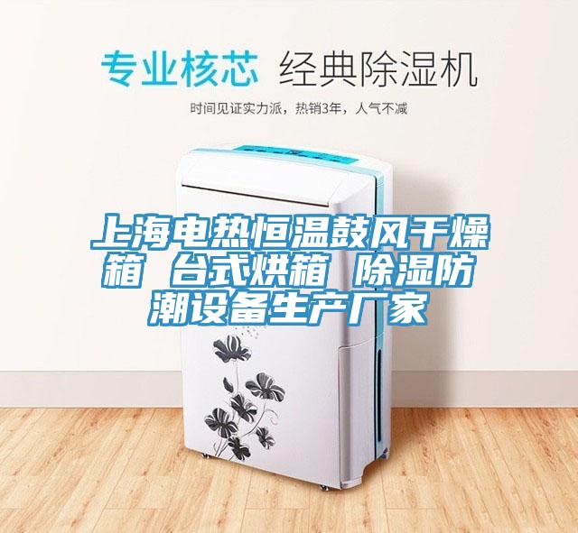 上海電熱恒溫鼓風(fēng)干燥箱 臺式烘箱 除濕防潮設備生產(chǎn)廠(chǎng)家