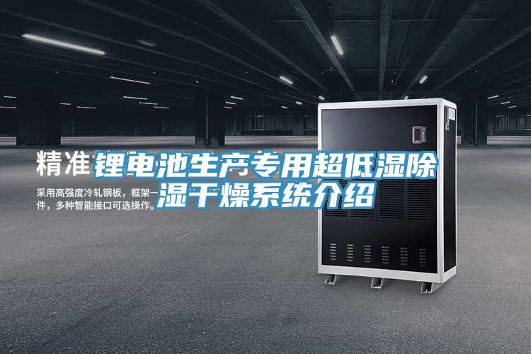 鋰電池生產(chǎn)專(zhuān)用超低濕除濕干燥系統介紹