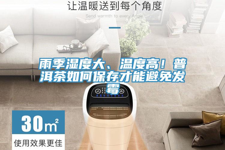 雨季濕度大、溫度高！普洱茶如何保存才能避免發(fā)霉