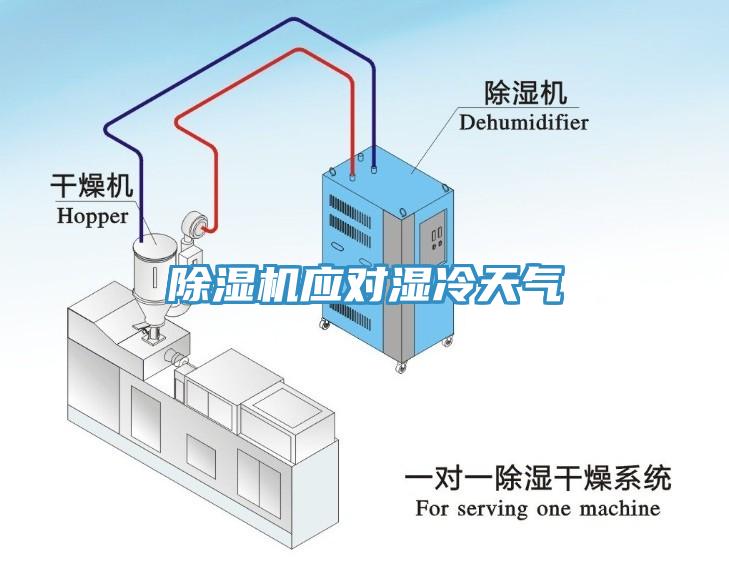 除濕機應對濕冷天氣