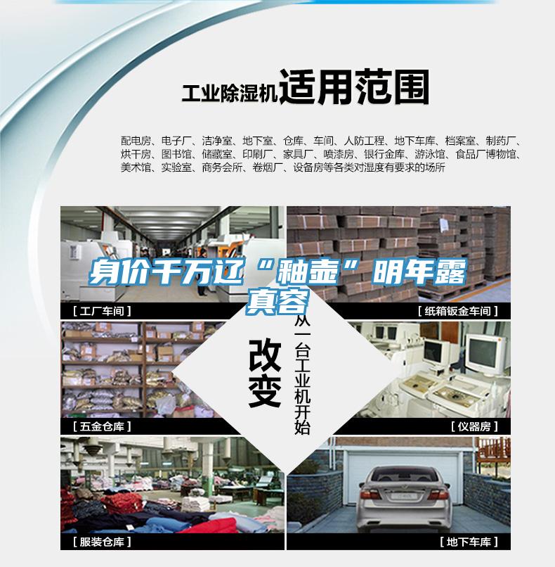 身價(jià)千萬(wàn)遼“釉壺”明年露真容