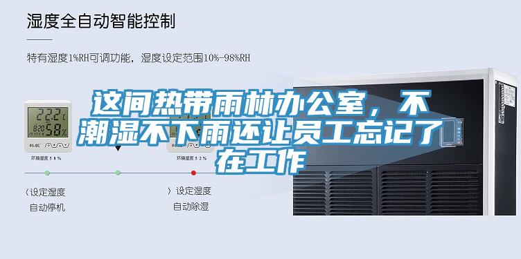 這間熱帶雨林辦公室，不潮濕不下雨還讓員工忘記了在工作