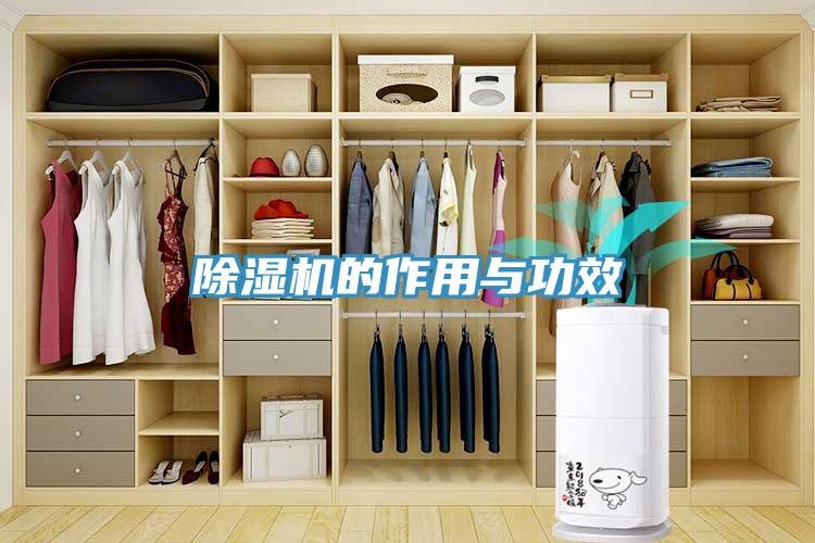 除濕機的作用與功效