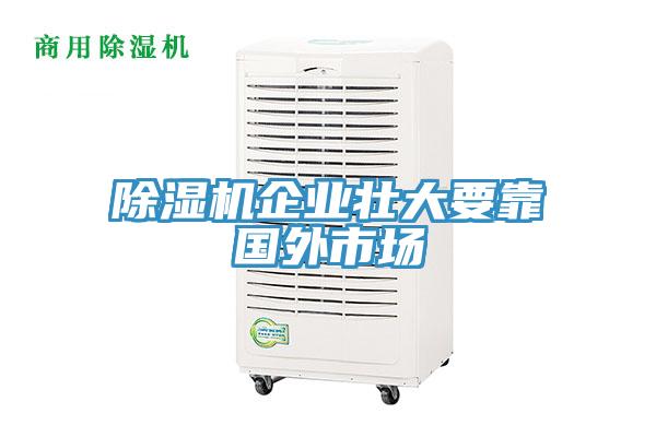 除濕機企業(yè)壯大要靠國外市場(chǎng)