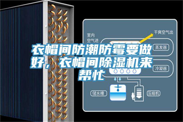 衣帽間防潮防霉要做好，衣帽間除濕機來(lái)幫忙