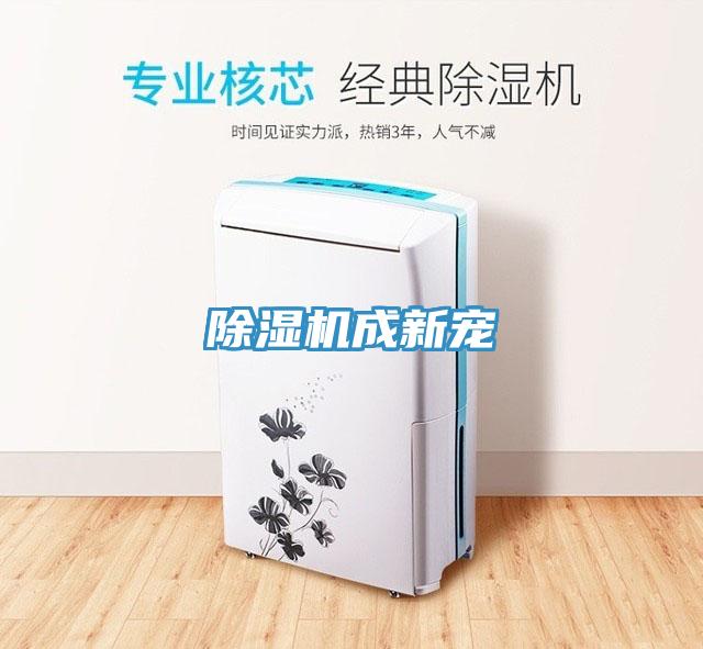 除濕機成新寵