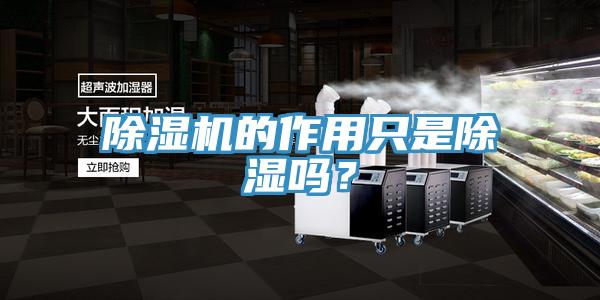 除濕機的作用只是除濕嗎？