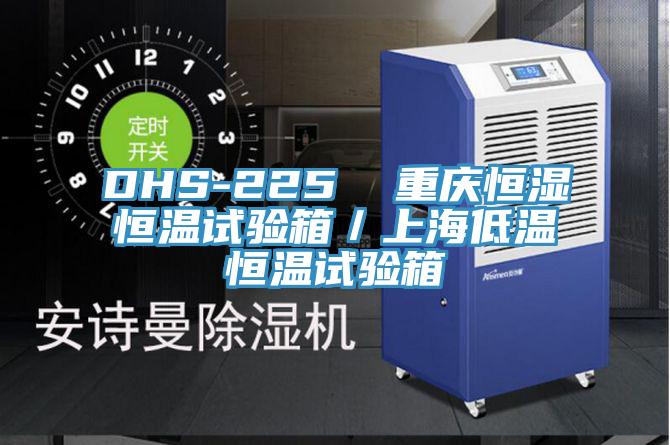 DHS-225  重慶恒濕恒溫試驗箱／上海低溫恒溫試驗箱